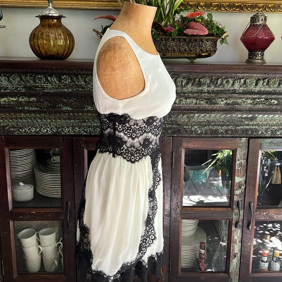 Bebe Lace Dress - Picture 6 of 13